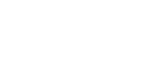 BD Visual Concepts